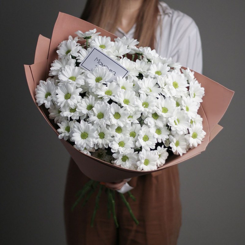 15 ромашковых хризантем